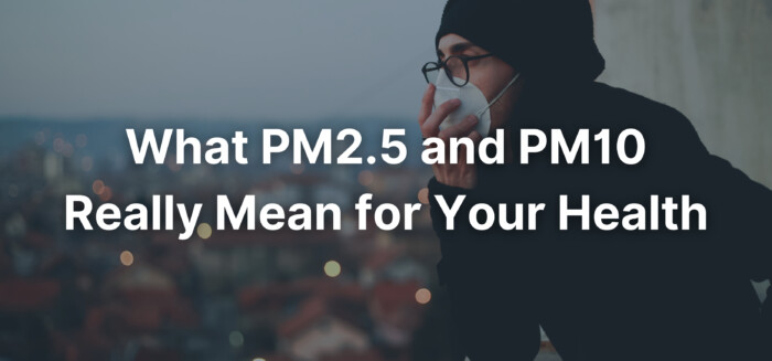 decorative header image stating, "What PM2.5 and PM10 Really Mean for Your Health".