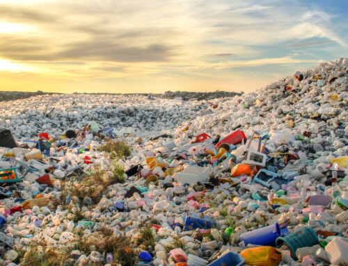 The Hidden Health Risks of Airborne Microplastics